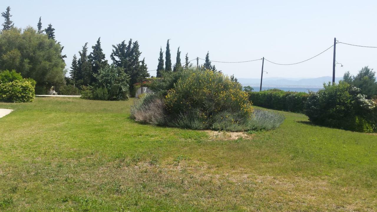 Beautiful House By The Sea,Loutraki Skaloma. Villa Buitenkant foto